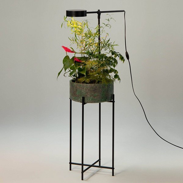 GoGrow Floor Lamp — черный