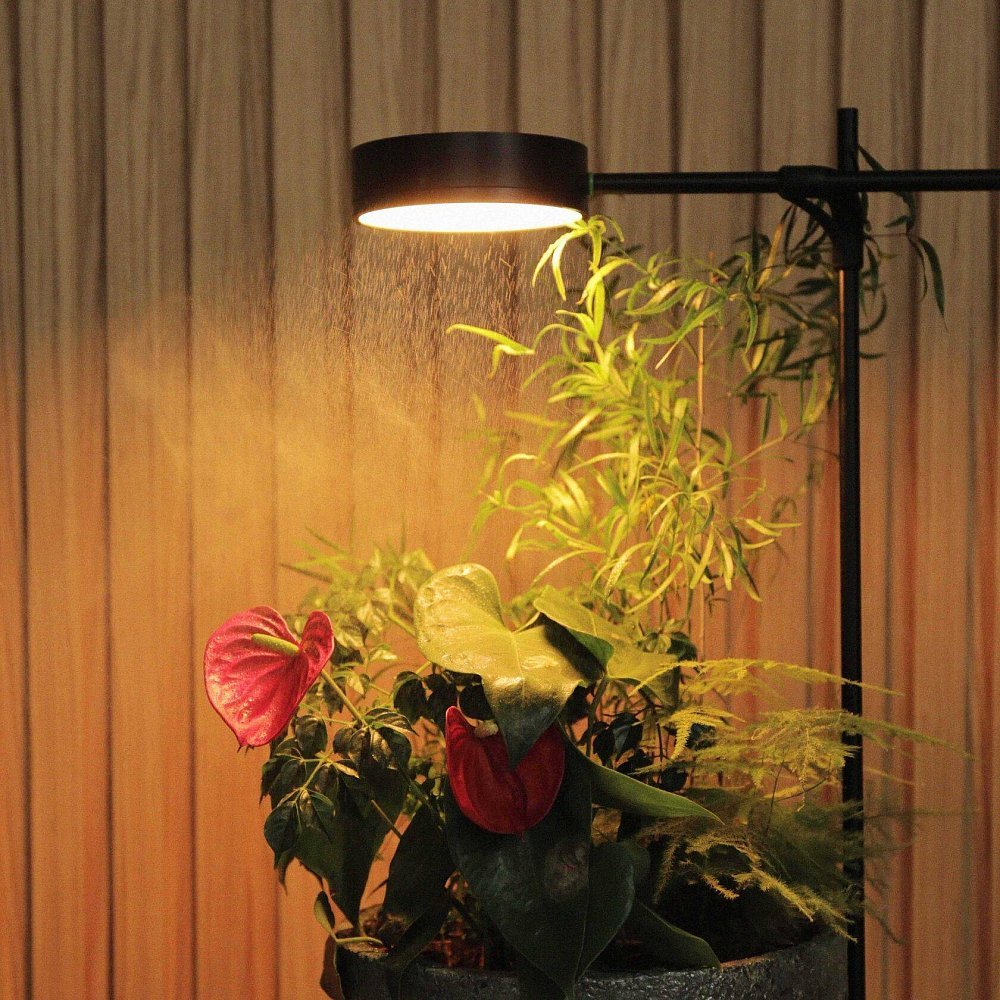 GoGrow Floor Lamp — черный