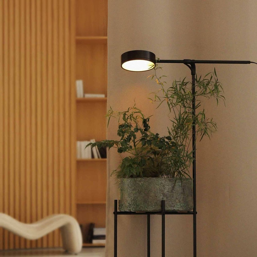 GoGrow Floor Lamp — черный