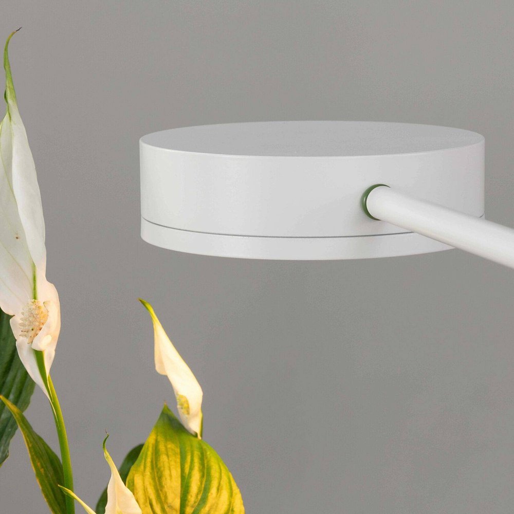 GoGrow Floor Lamp — белый