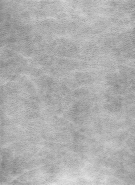 Подушка C4 METALIZED LEATHER 58*58