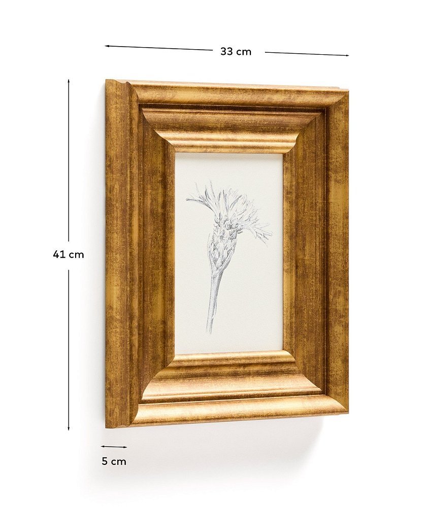 Картина Yalira с ботанической иллюстрацией 32,8 x 70 см