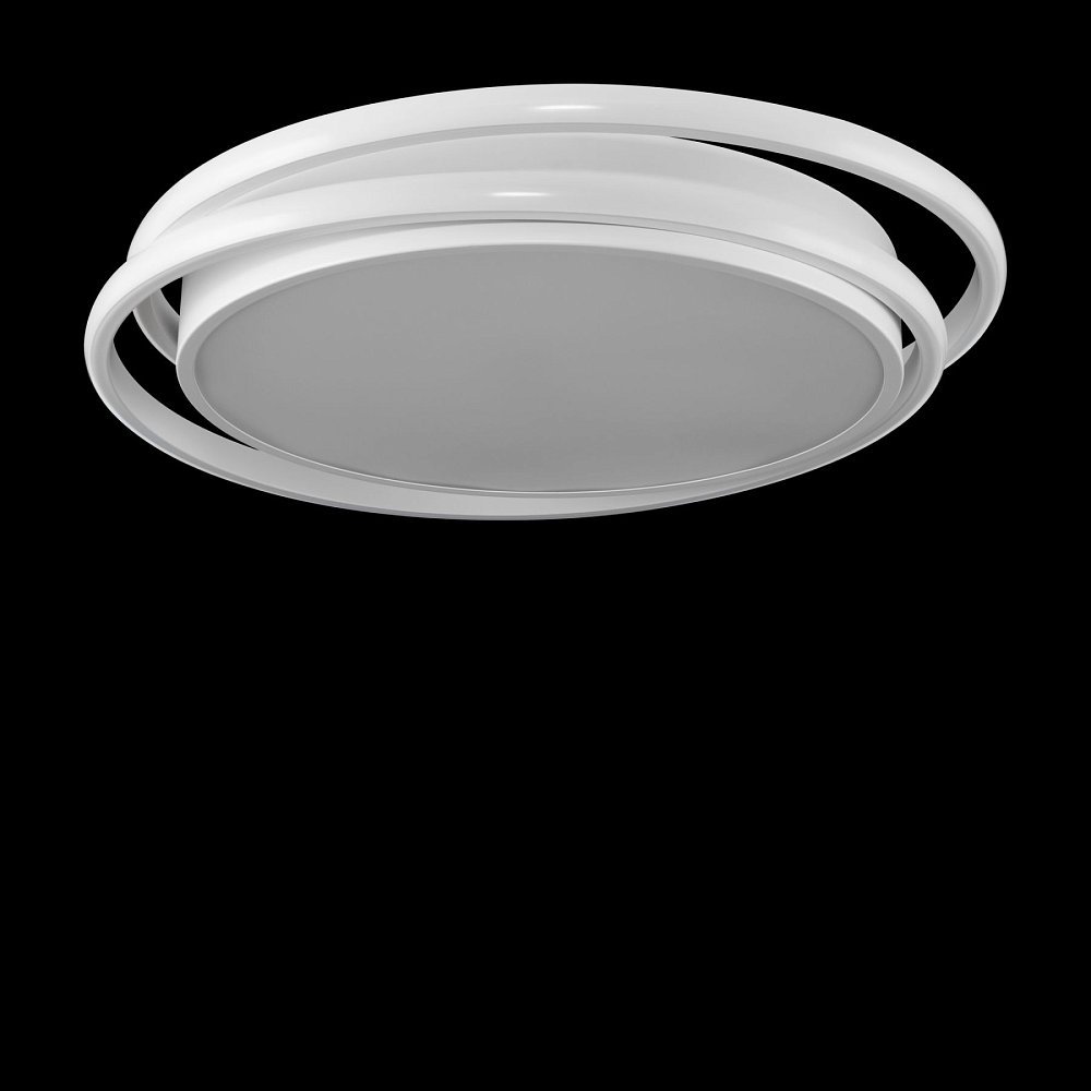 Потолочный светильник Lisoa Market FR10031CL-L98W