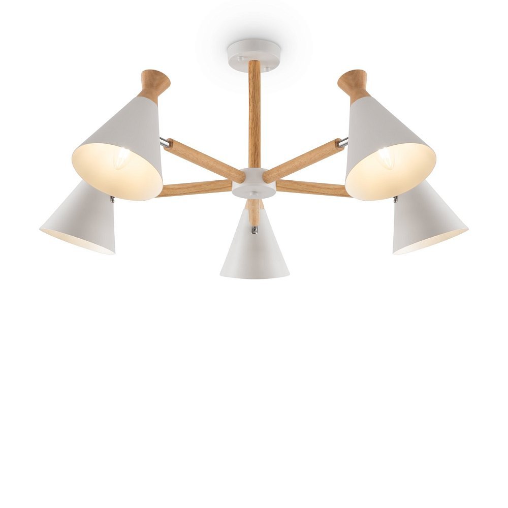 Люстра Rise FR5169PL-05W