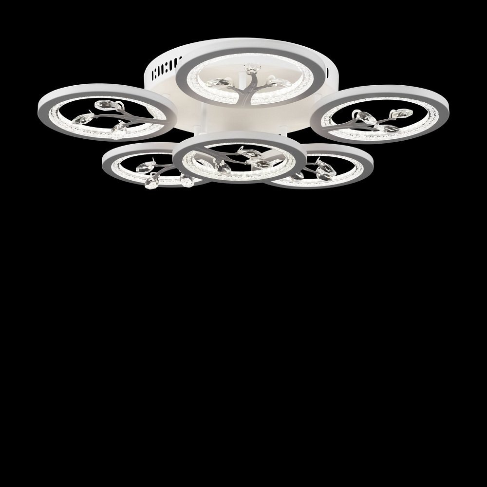 Потолочный светильник Bodge FR10017CL-L92W