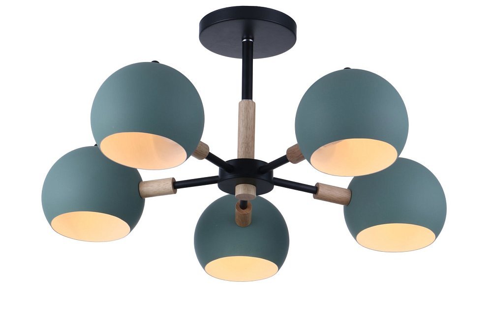 Потолочный светильник Trisha FR5032CL-05B