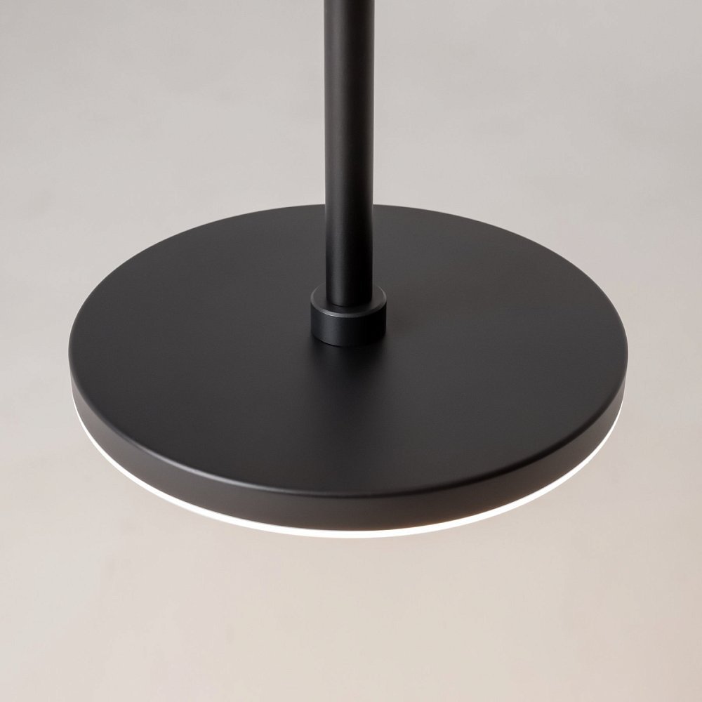 Подвесной светильник Plato P076PL-L12W4K-B