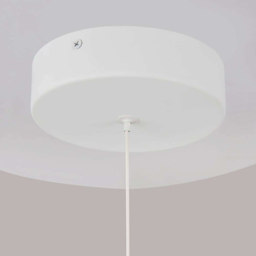 Подвесной светильник Ray P021PL-L10W