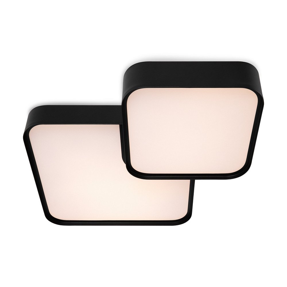 Потолочный светильник Square FR6095CL-L84B