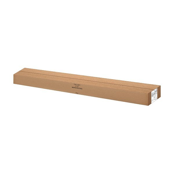 Напольный светильник (торшер) Marine FR6103FL-L50B