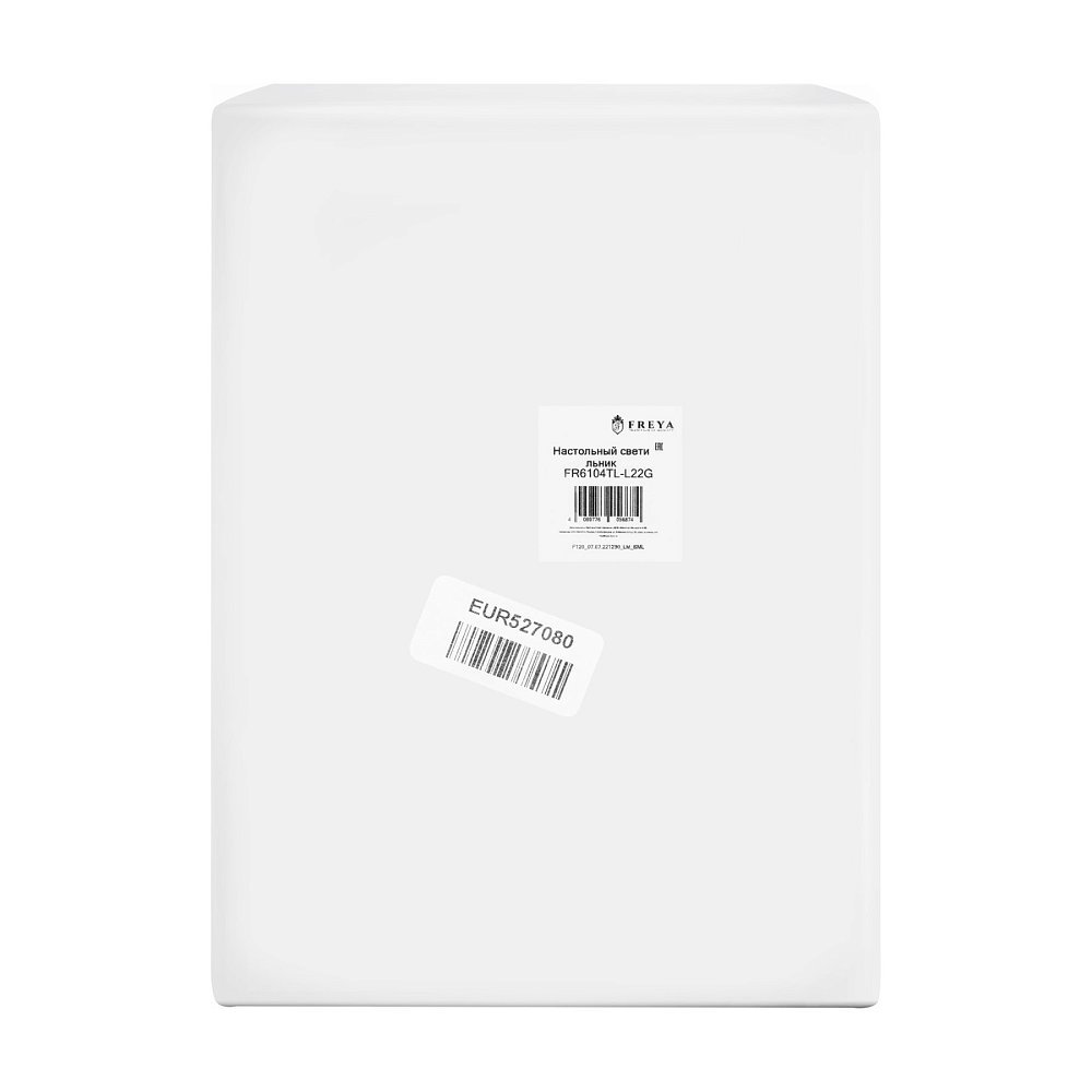 Настольный светильник Fete FR6104TL-L22G