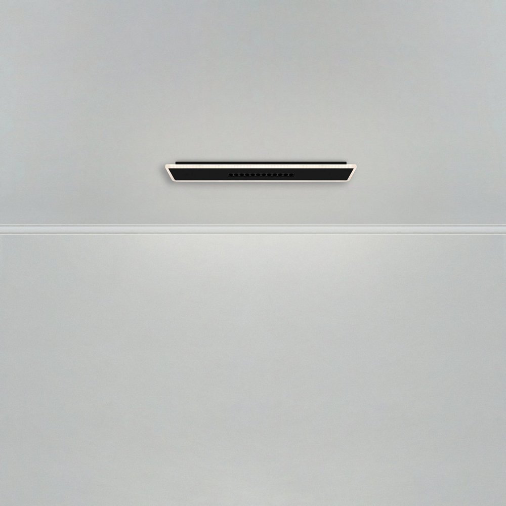Потолочный светильник Shine FR6105CL-L40B