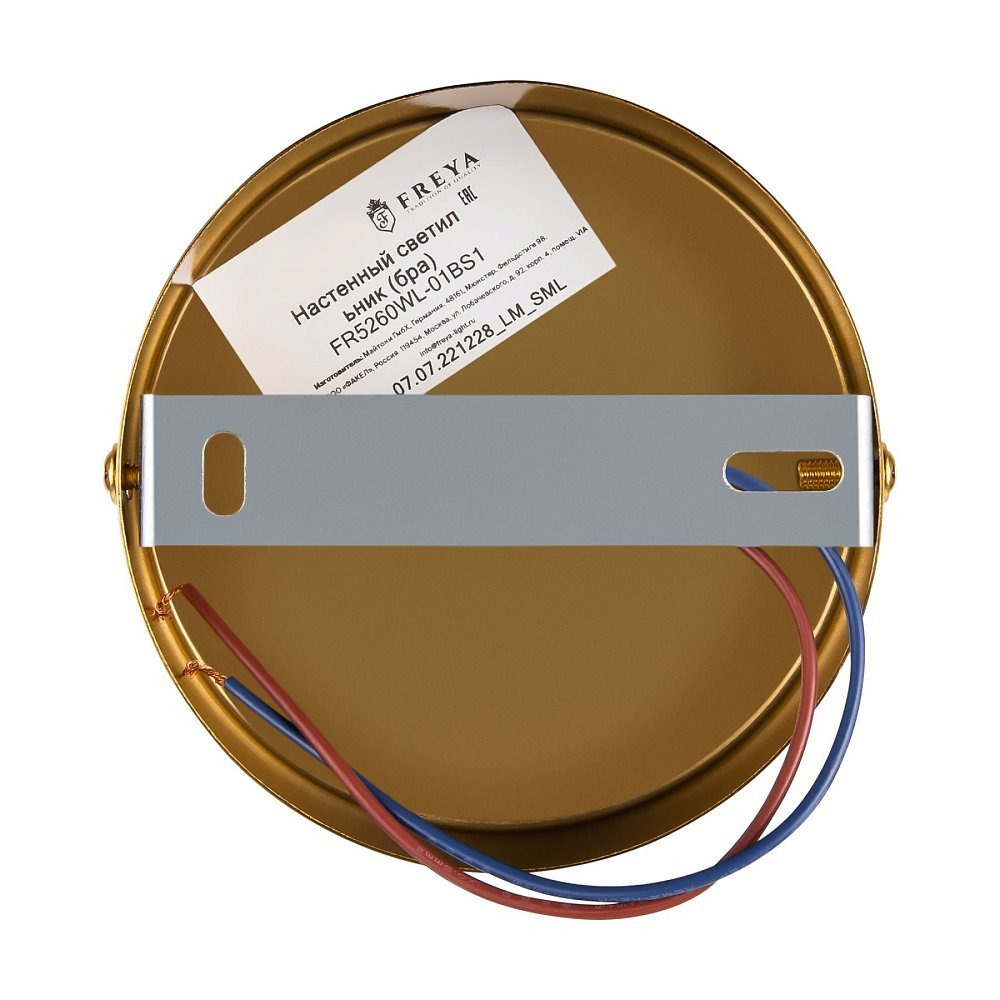 Настенный светильник (бра) Terra FR5260WL-01BS1