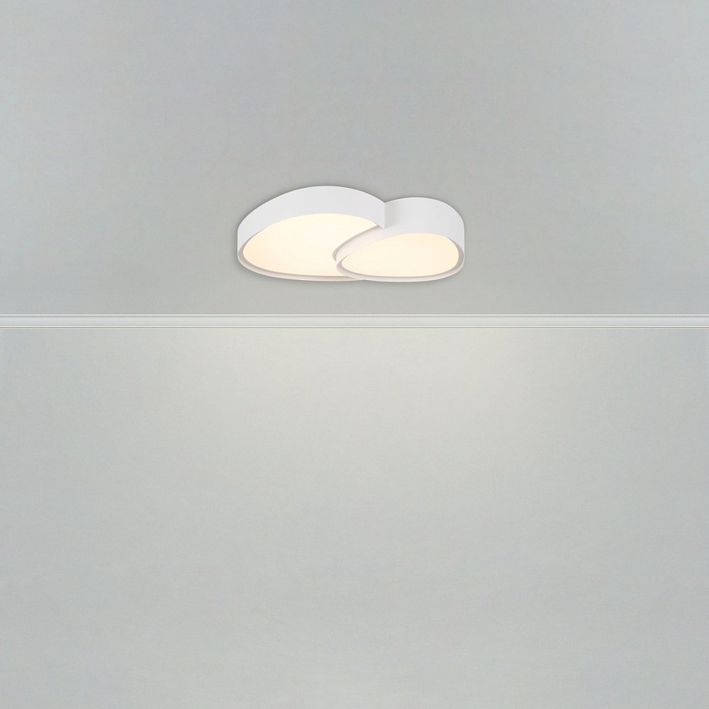Потолочный светильник Modesty FR6079CL-L72W