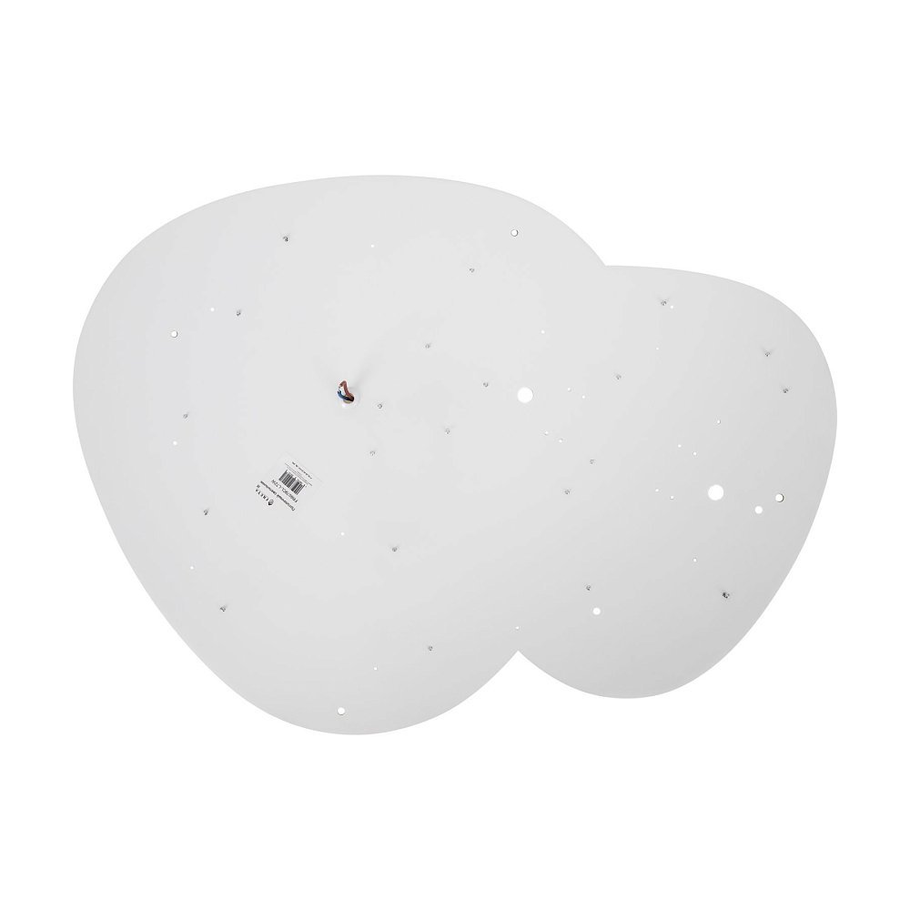 Потолочный светильник Modesty FR6079CL-L72W