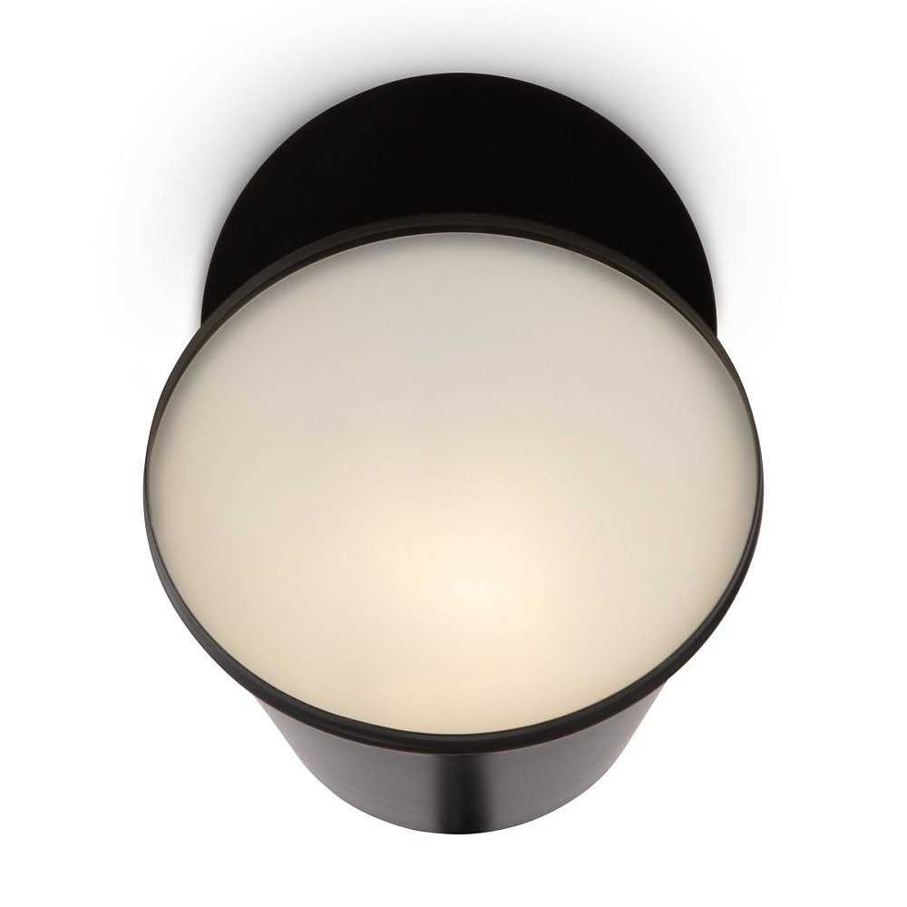 Настенный светильник (бра) Tint FR5179WL-01B