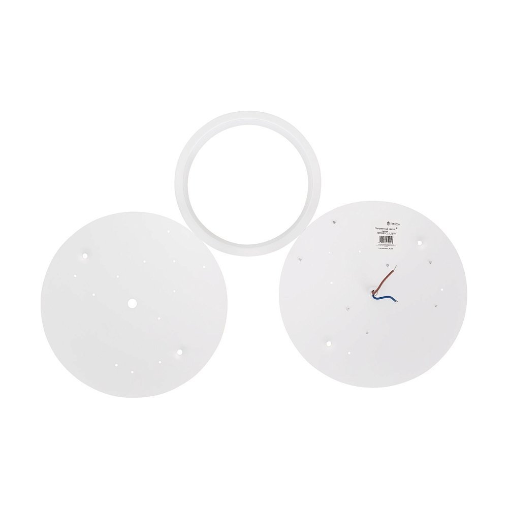 Потолочный светильник Molecule FR6080CL-L76W