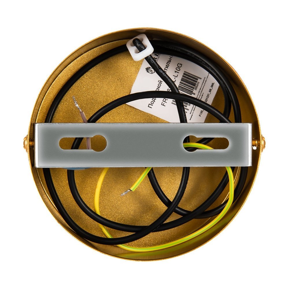 Подвесной светильник Planetary FR6081PL-L10G