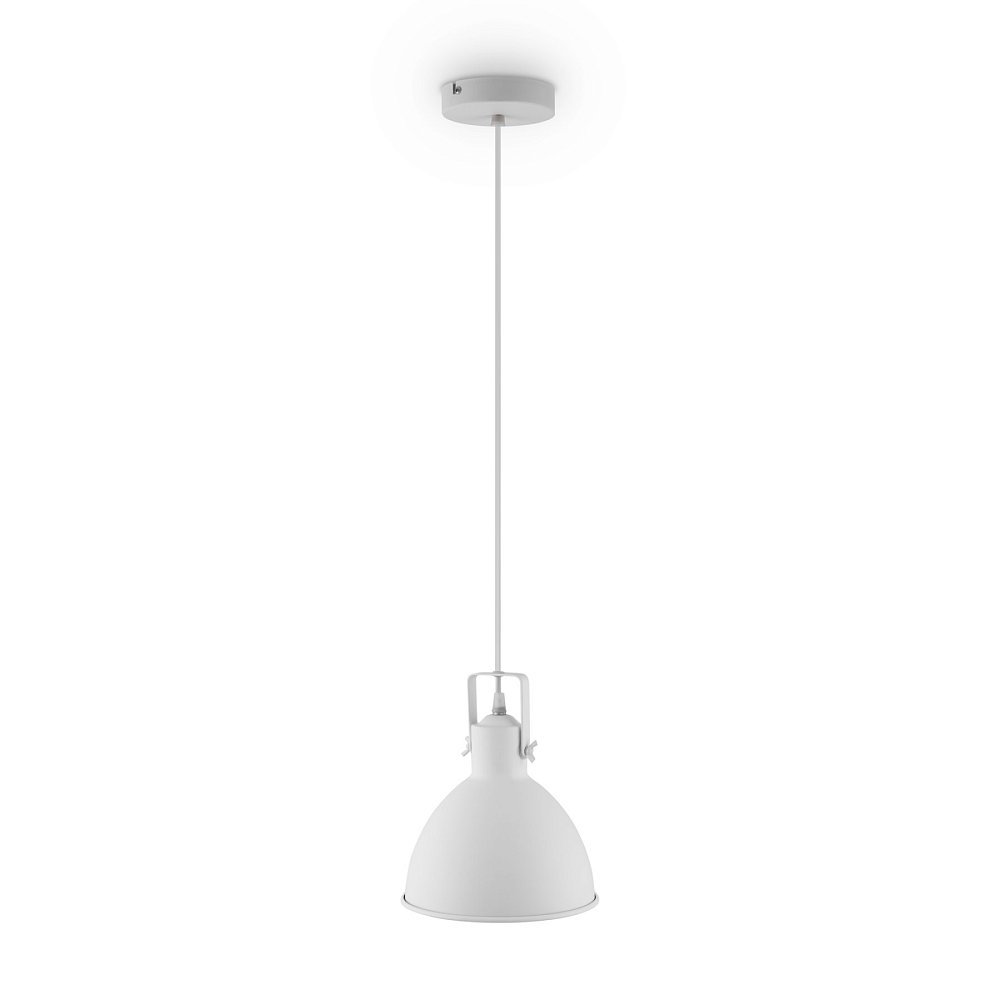 Подвесной светильник Twist FR4035PL-01W