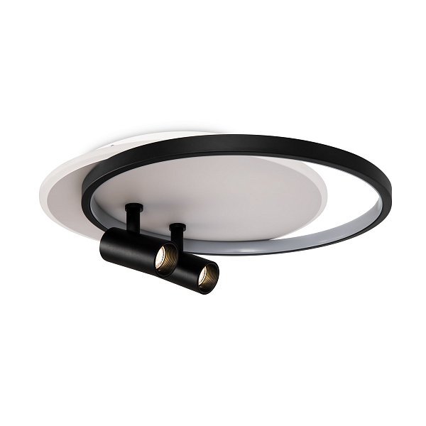 Потолочный светильник Spotlights FR6083CL-L106WB