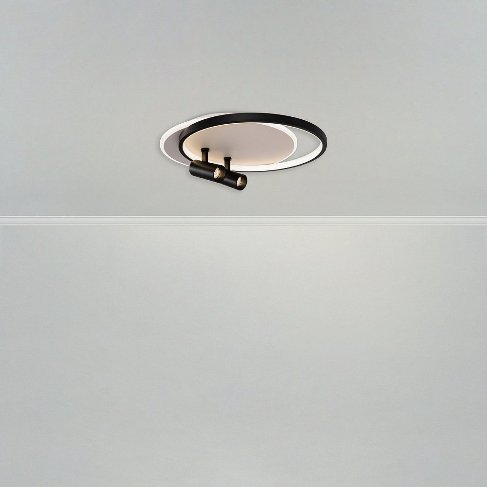 Потолочный светильник Spotlights FR6083CL-L106WB