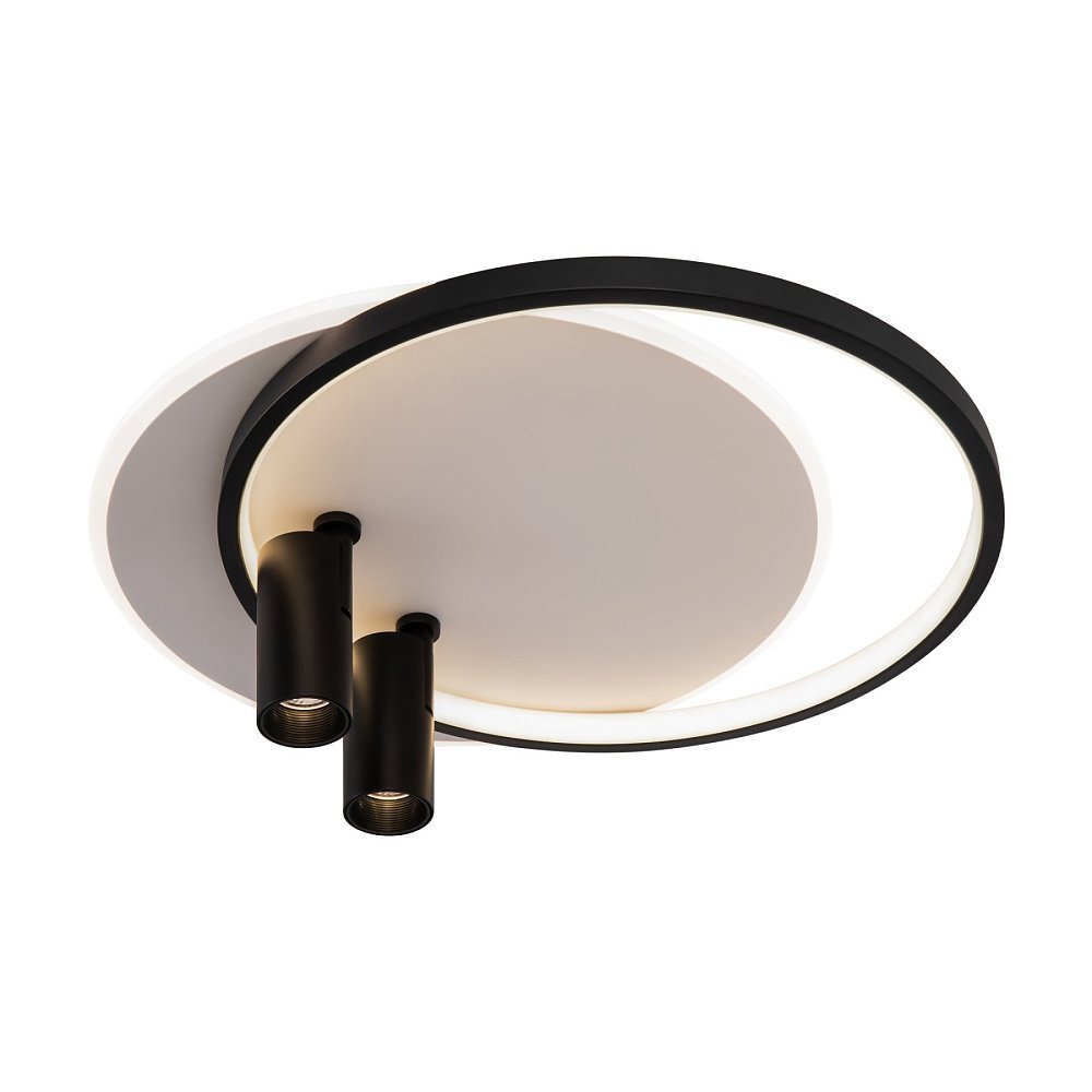Потолочный светильник Spotlights FR6083CL-L106WB
