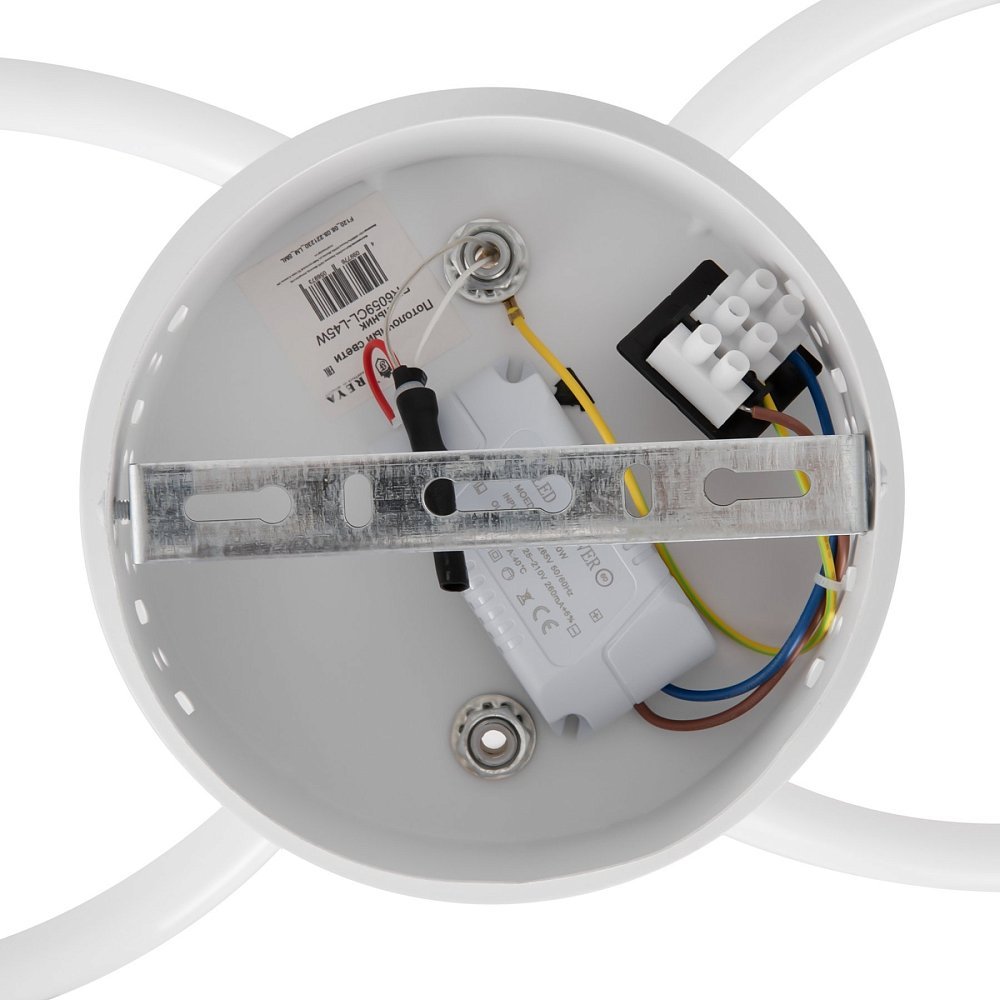 Потолочный светильник Fancy FR6059CL-L45W
