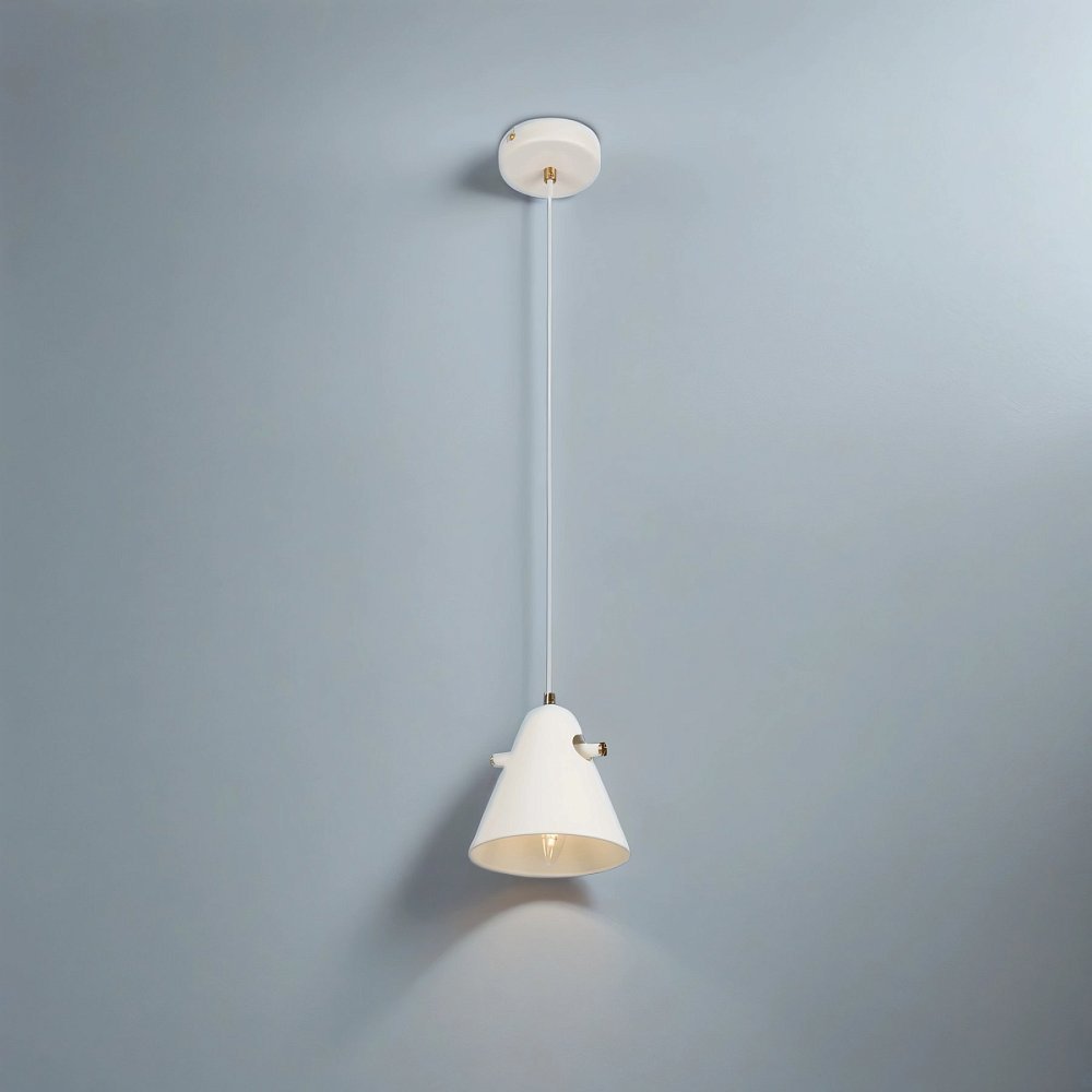 Подвесной светильник Cozy FR5211PL-01W