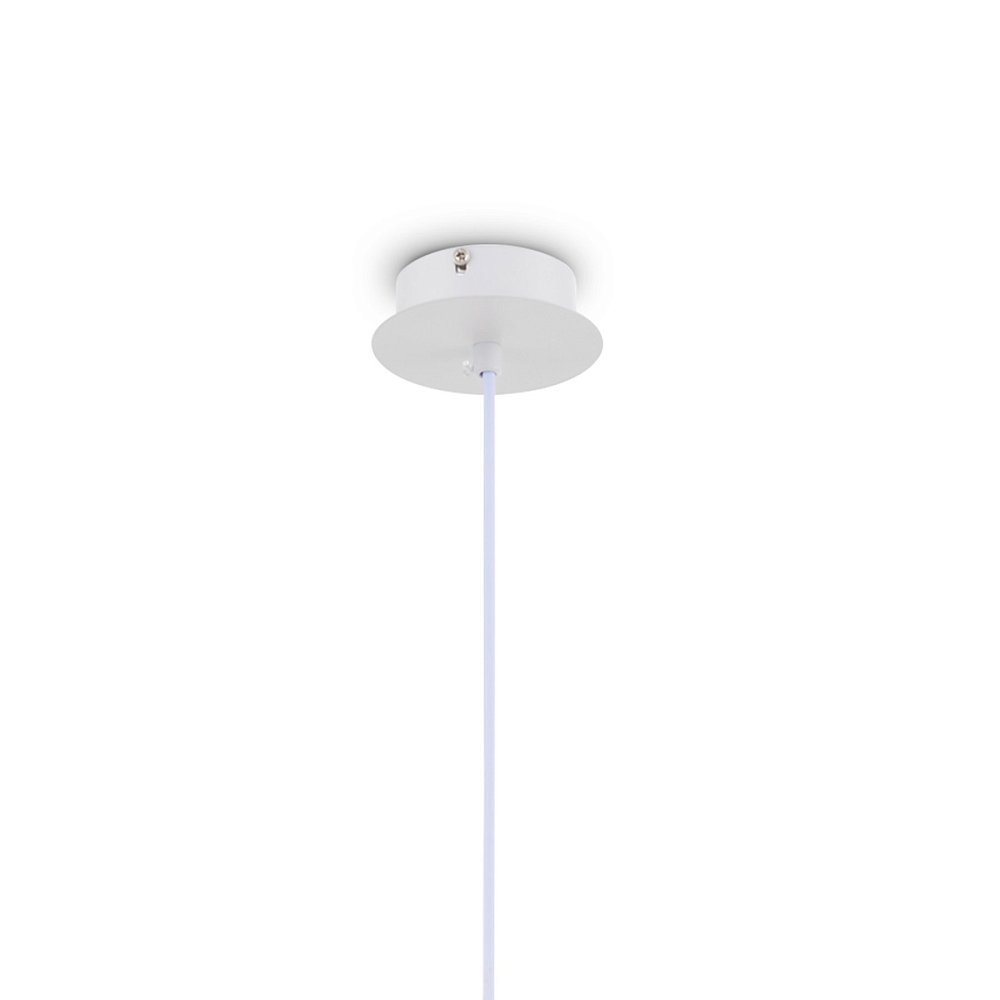 Подвесной светильник Mallow FR5228PL-01W