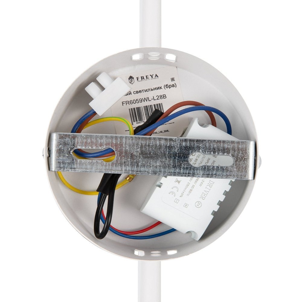 Настенный светильник (бра) Fancy FR6059WL-L28W