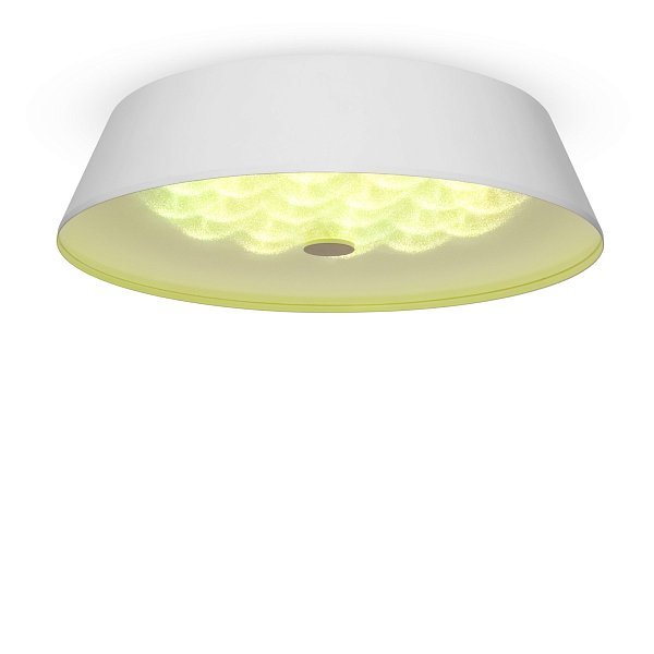 Потолочный светильник Cells FR10013CL-L24W