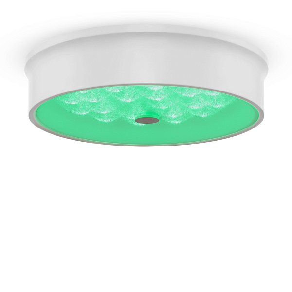 Потолочный светильник Cells FR10011CL-L24W
