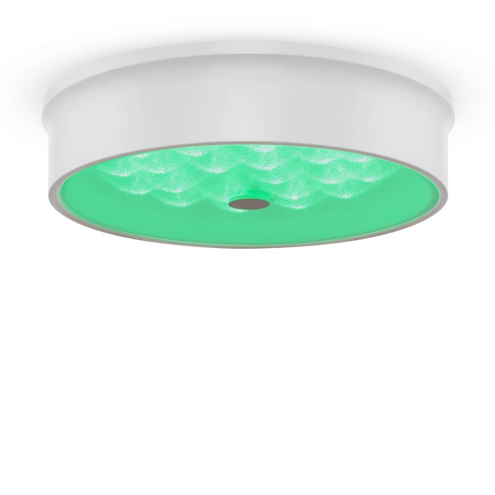 Потолочный светильник Cells FR10011CL-L24W