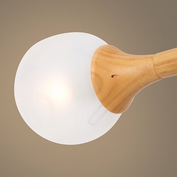Люстра Amy FR5105CL-06W