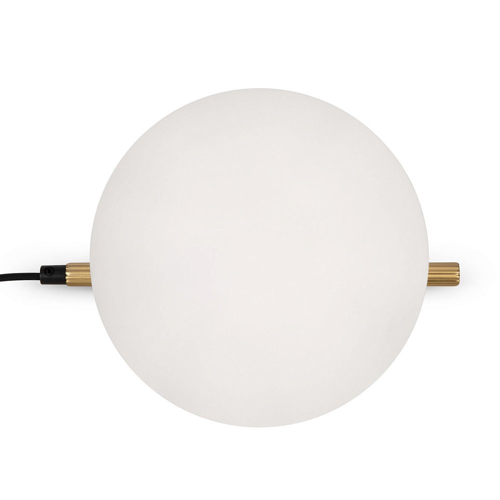 Настольный светильник Blossom FR5259TL-01BS
