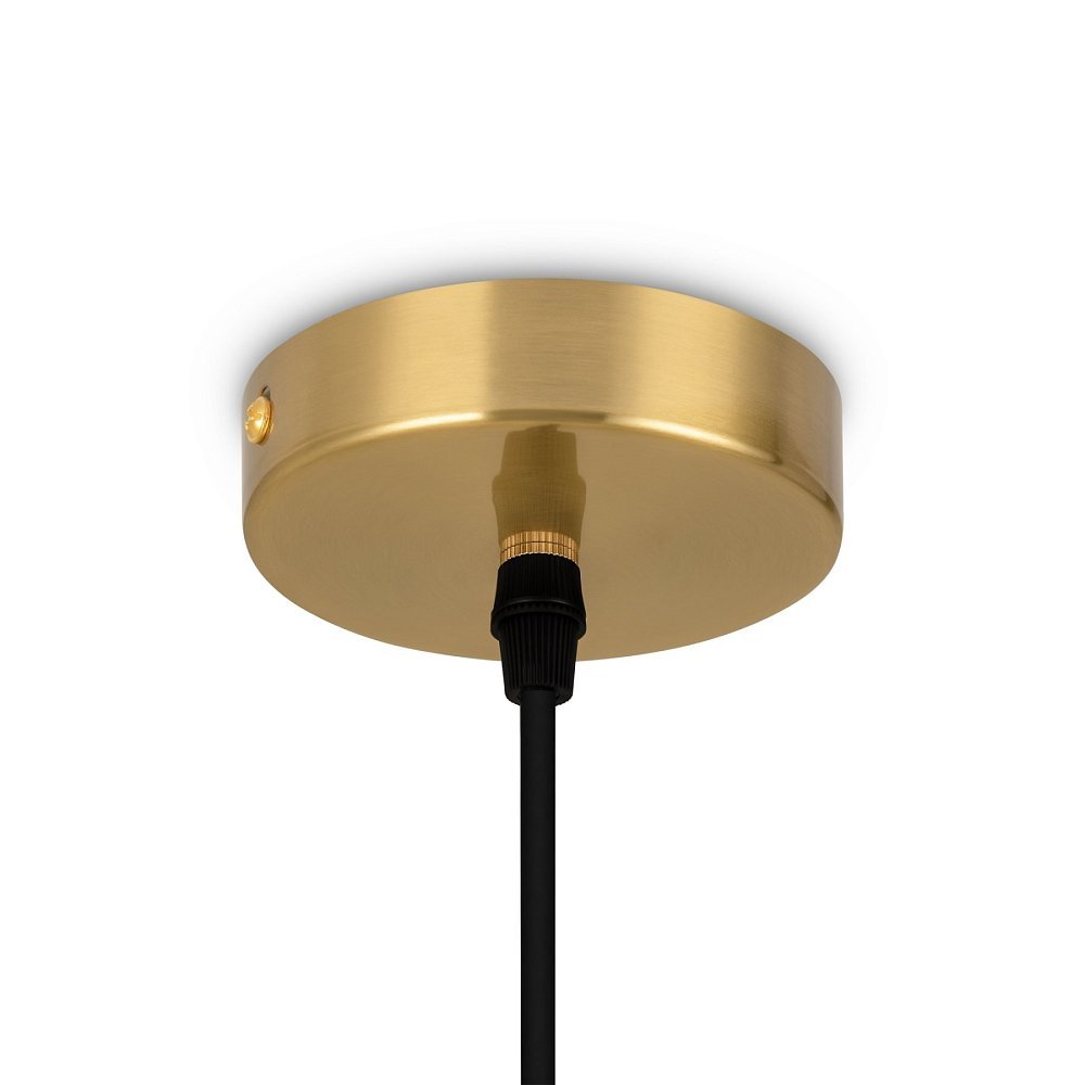 Подвесной светильник Pina FR5387PL-L14BS
