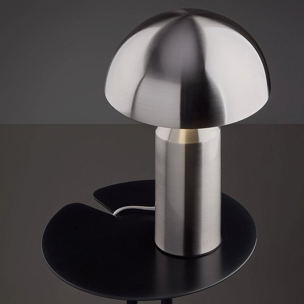 Настольный светильник Eleon FR5218TL-02N