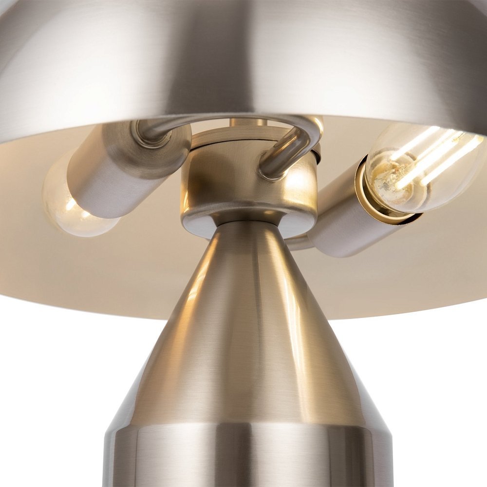 Настольный светильник Eleon FR5218TL-02N