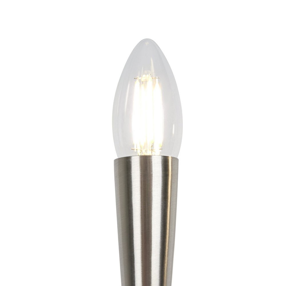 Настенный светильник (бра) Branches FR5253WL-02N