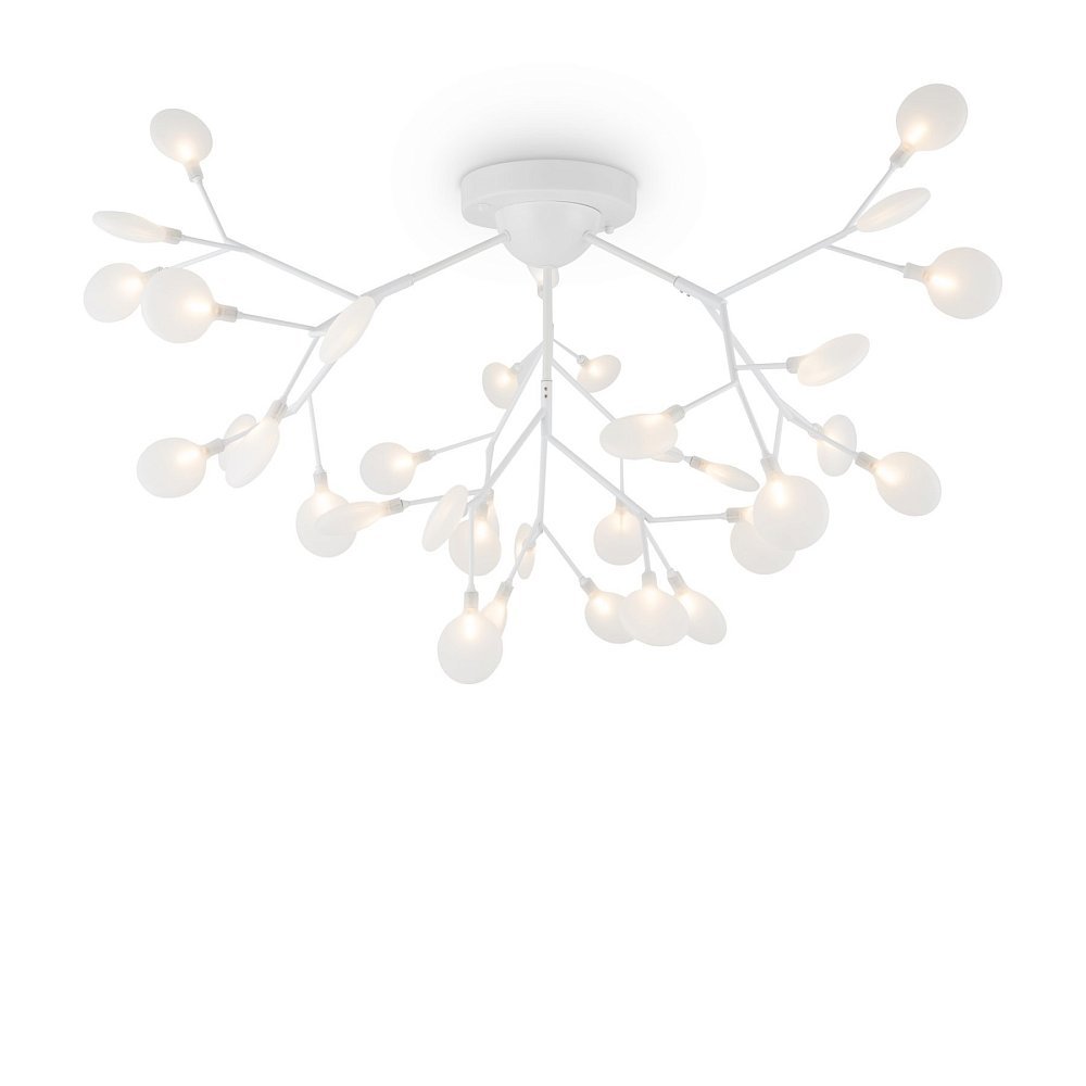 Потолочный светильник Florencia FR5049CL-36W1
