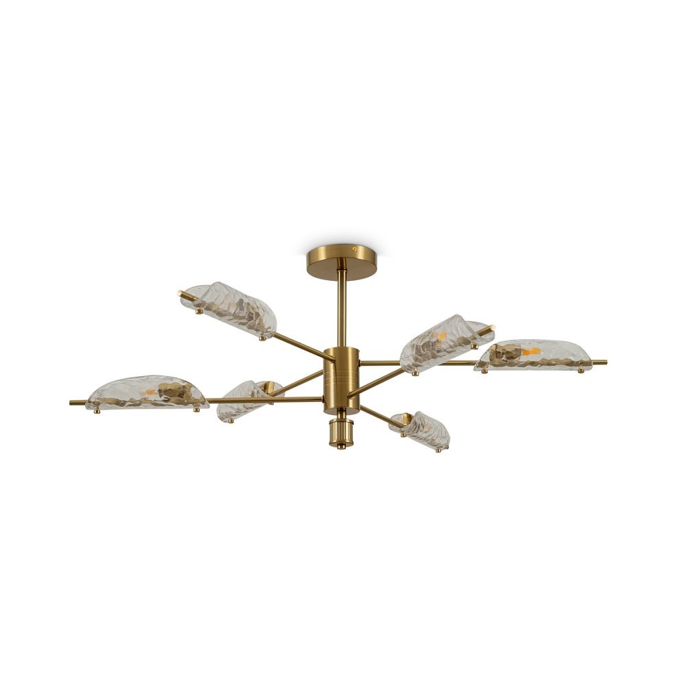 Потолочный светильник Baret FR5420CL-06BS