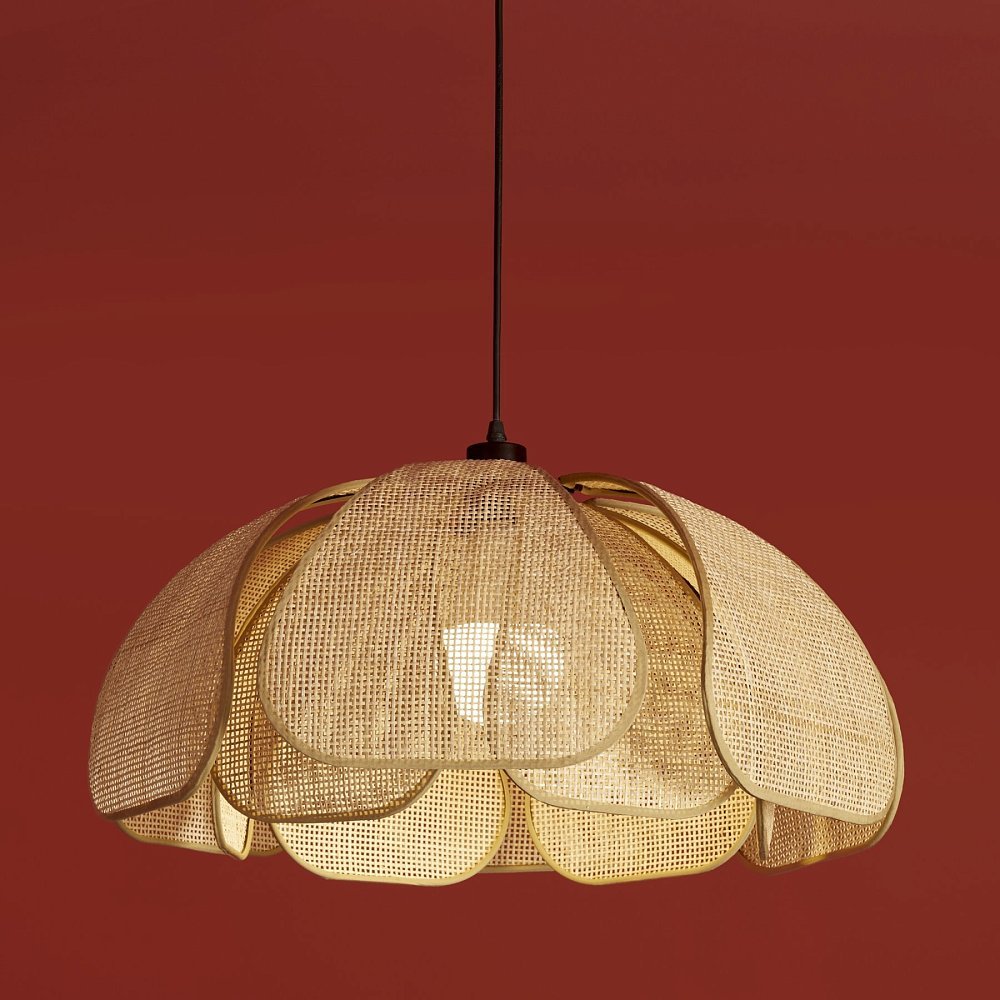 Подвесной светильник Cocoon FR5529PL-01B