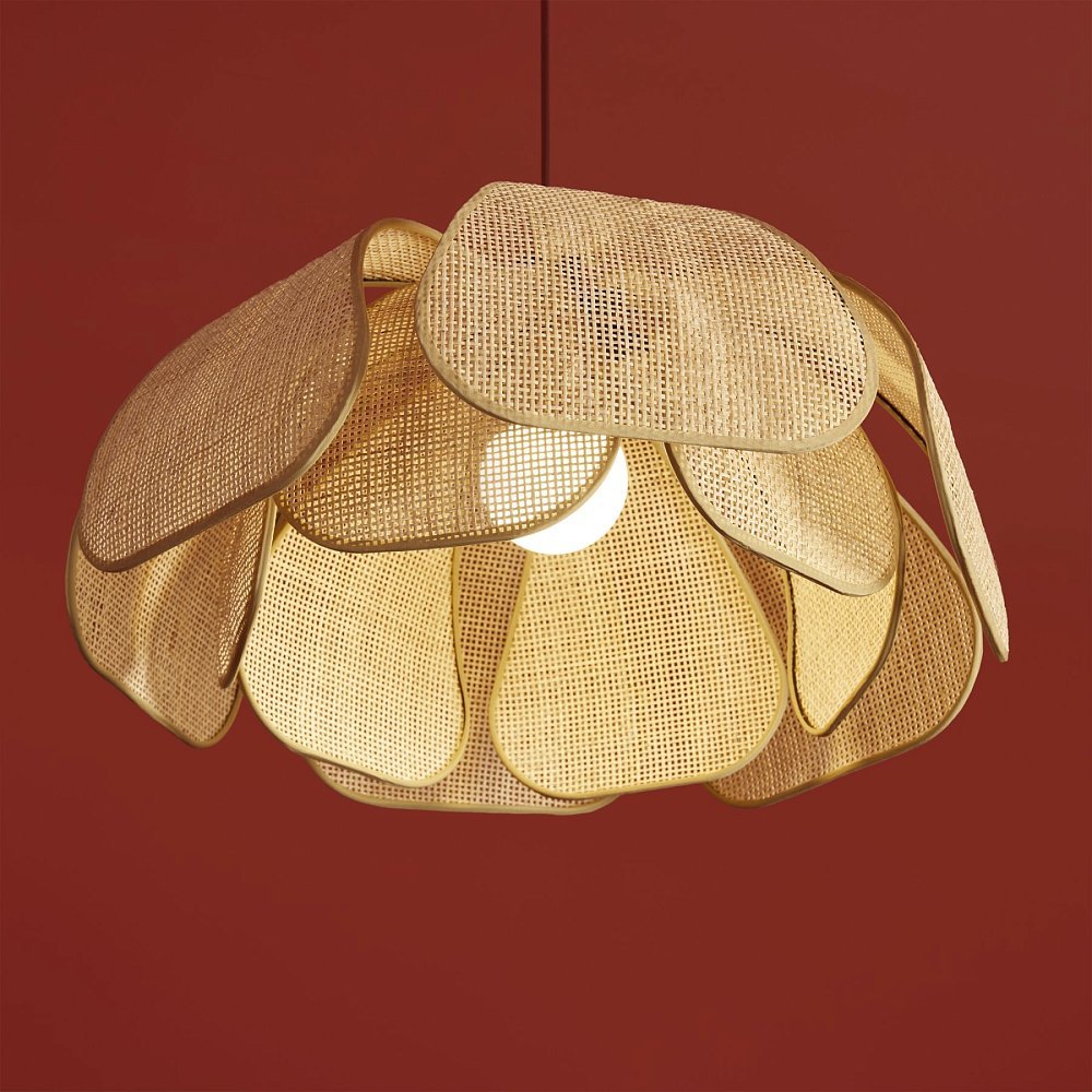 Подвесной светильник Cocoon FR5529PL-01B
