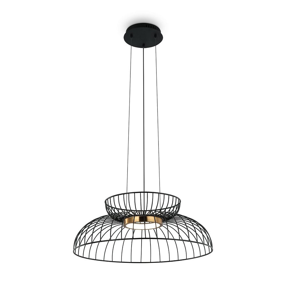 Подвесной светильник Citrus FR5398PL-L6B