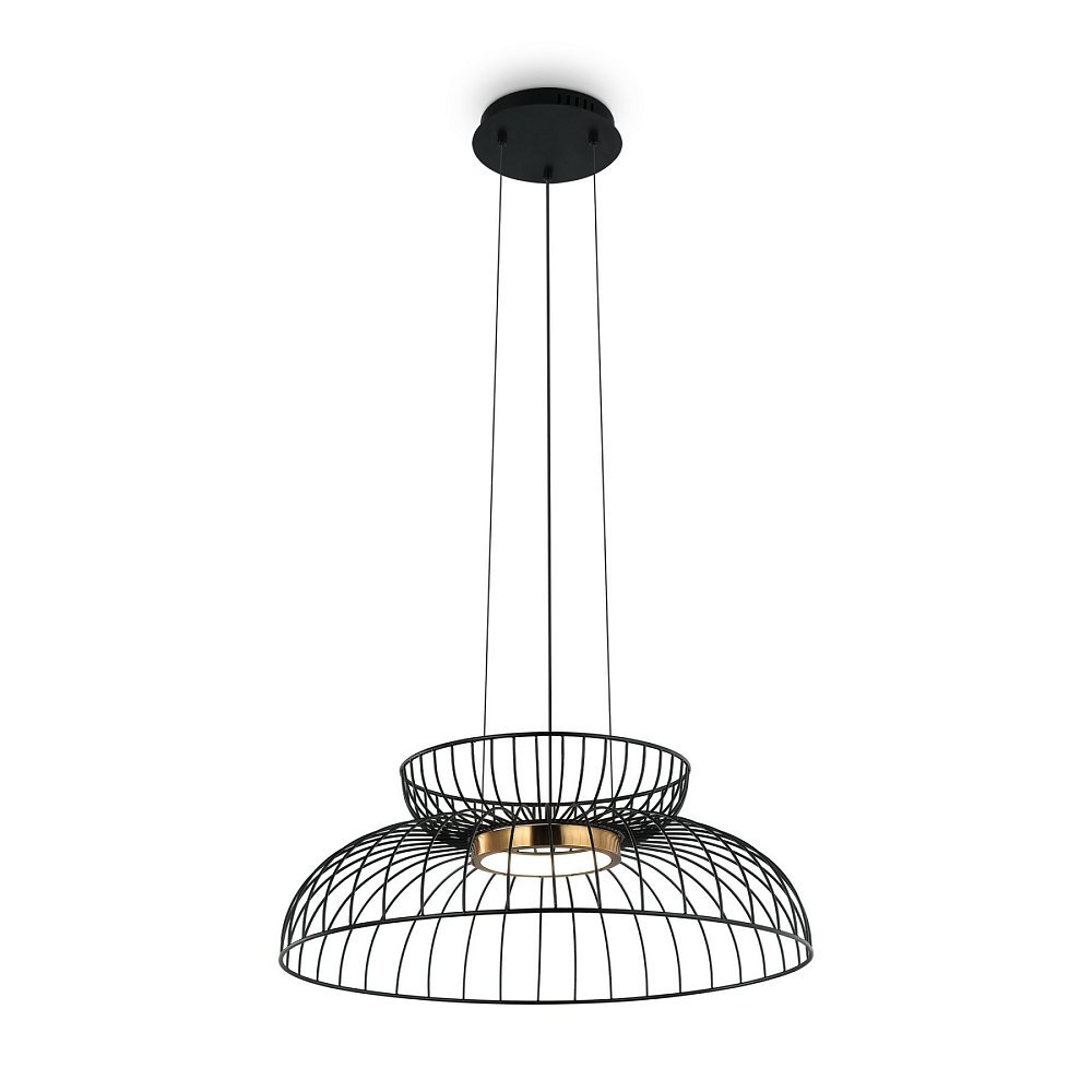 Подвесной светильник Citrus FR5398PL-L6B