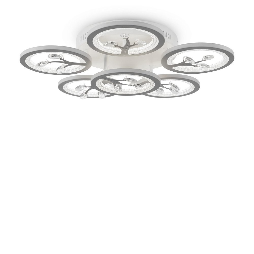 Потолочный светильник Bodge FR10017CL-L92W