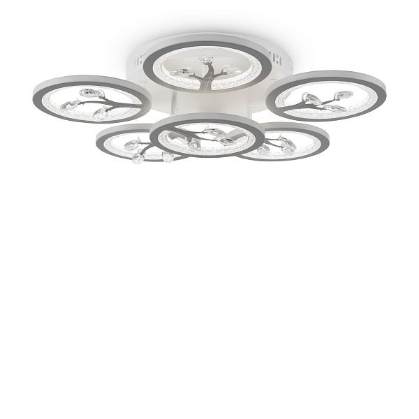 Потолочный светильник Bodge FR10017CL-L92W