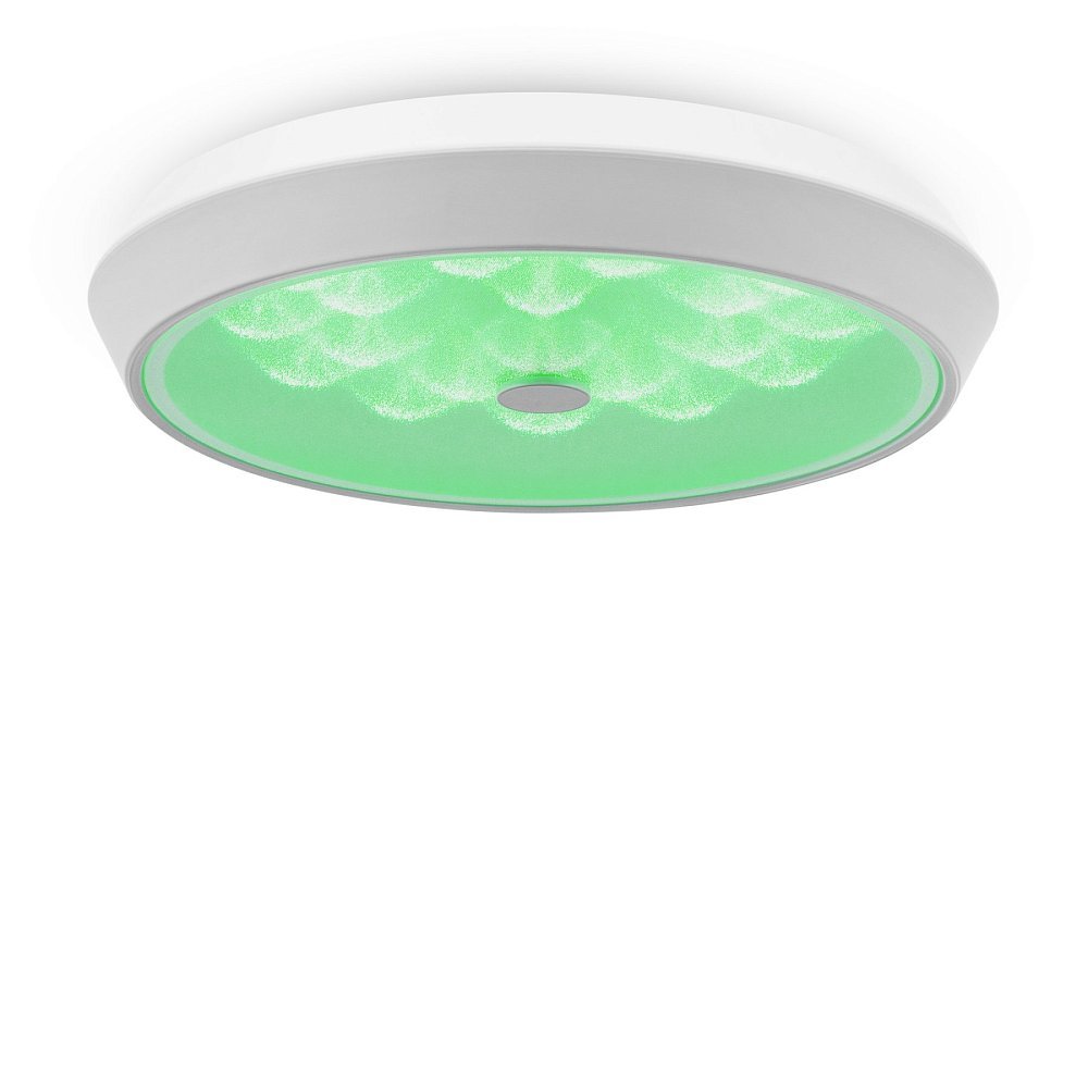 Потолочный светильник Cells FR10012CL-L24W