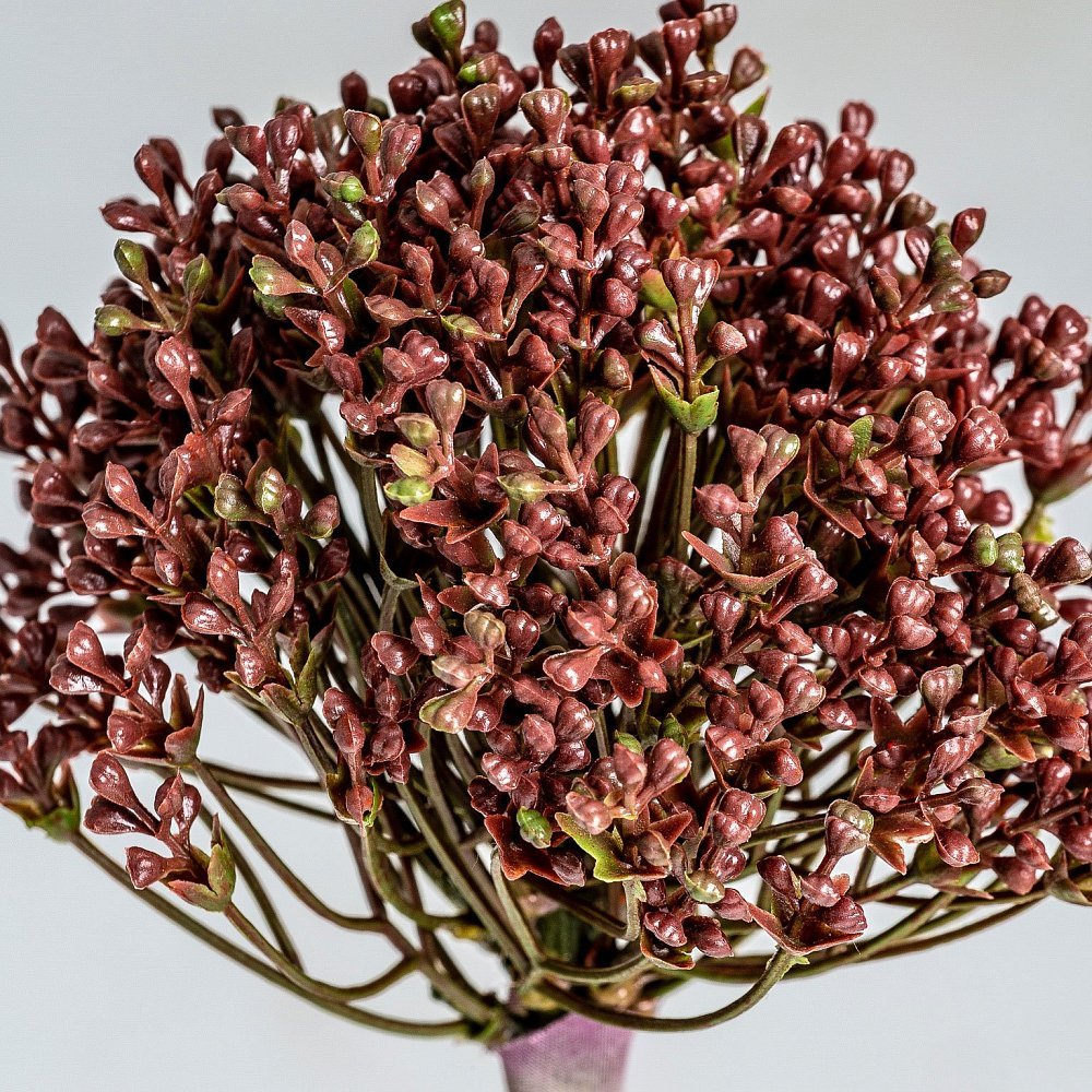 Искусственное растение ALLIUM