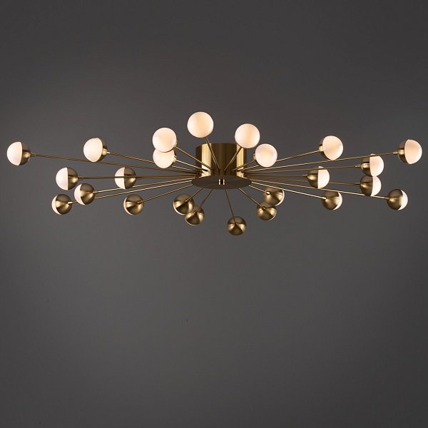 Потолочный светильник Celebrity FR5242CL-24BS